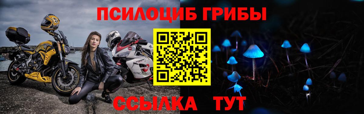 Псилоцибиновые грибы мицелий Муравленко